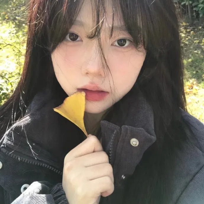 我的师兄太强了